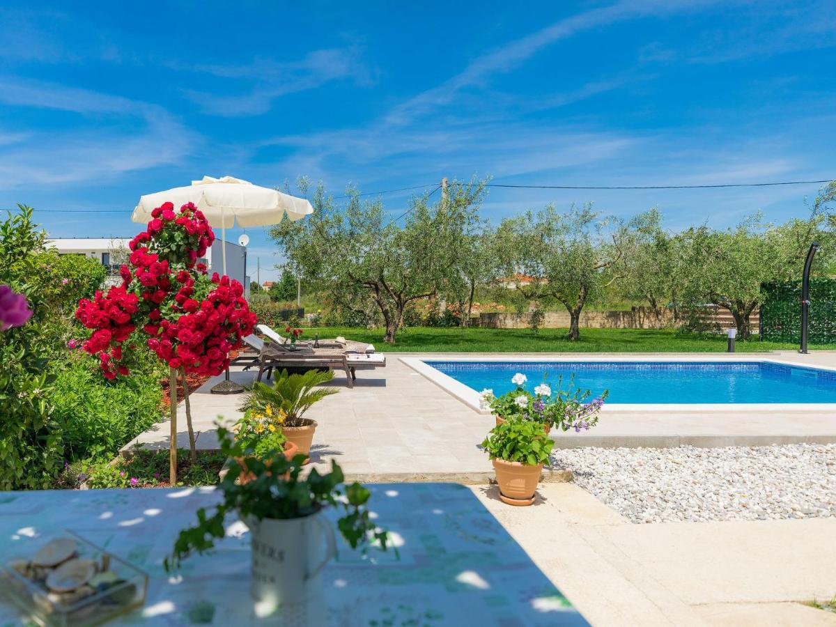Apartment Chiara By Interhome Novigrad Istria Exteriör bild
