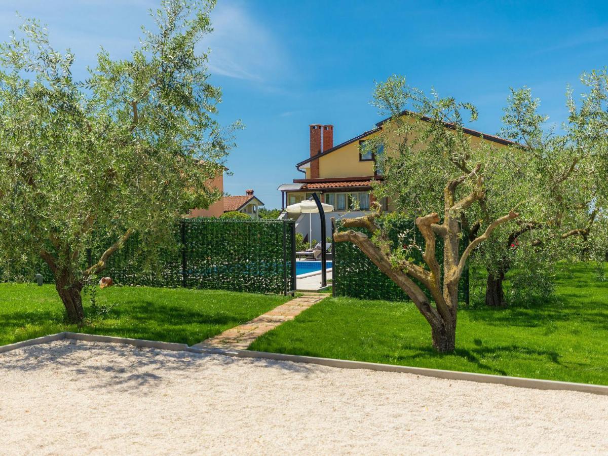 Apartment Chiara By Interhome Novigrad Istria Exteriör bild