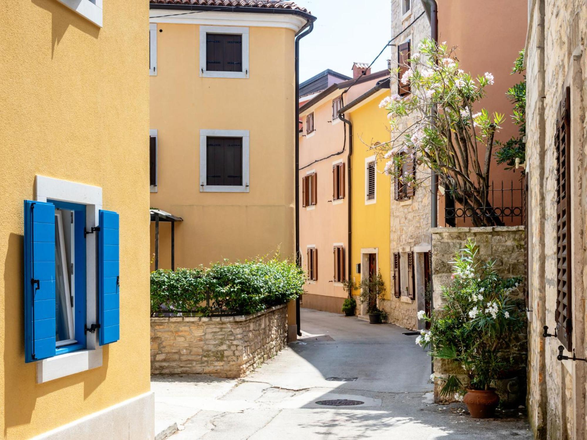 Apartment Chiara By Interhome Novigrad Istria Exteriör bild